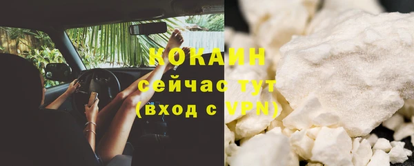 крисы Абаза