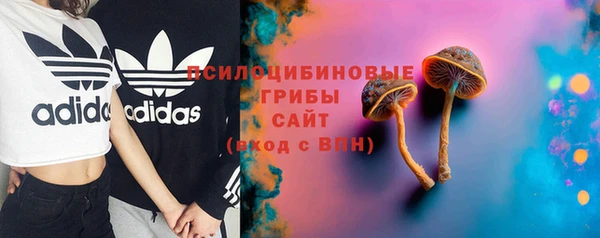 соль ск Абдулино