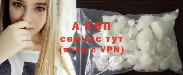 крисы Абаза