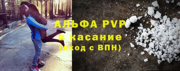 крисы Абаза