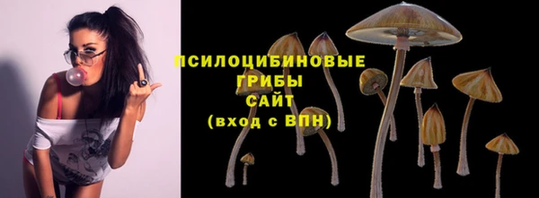 крисы Абаза