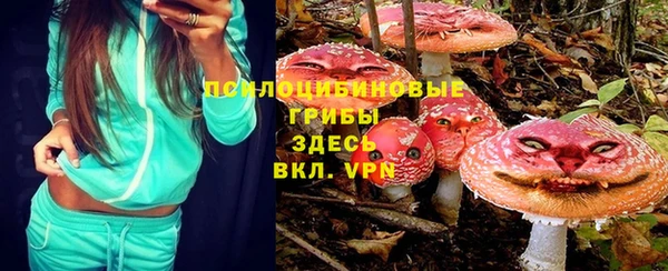 крисы Абаза