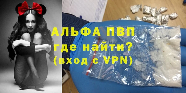 крисы Абаза