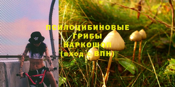 соль ск Абдулино