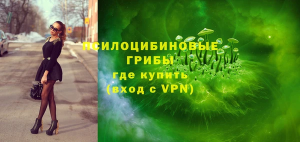 крисы Абаза
