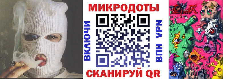 где найти   Дубовка  Псилоцибиновые грибы прущие грибы 
