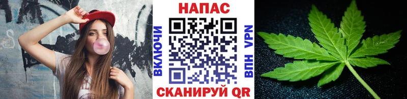 Конопля план Дубовка