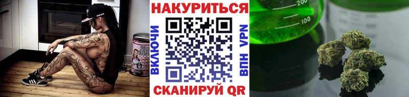 Бошки Шишки Amnesia Дубовка